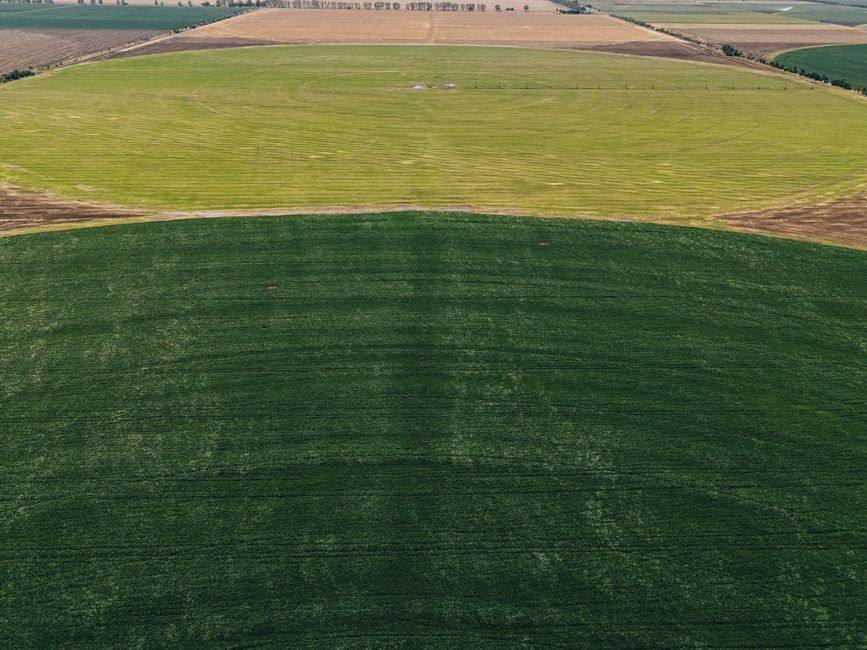 Sinergia e agro: os planos do Grupo Way para os próximos leilões de rodovias