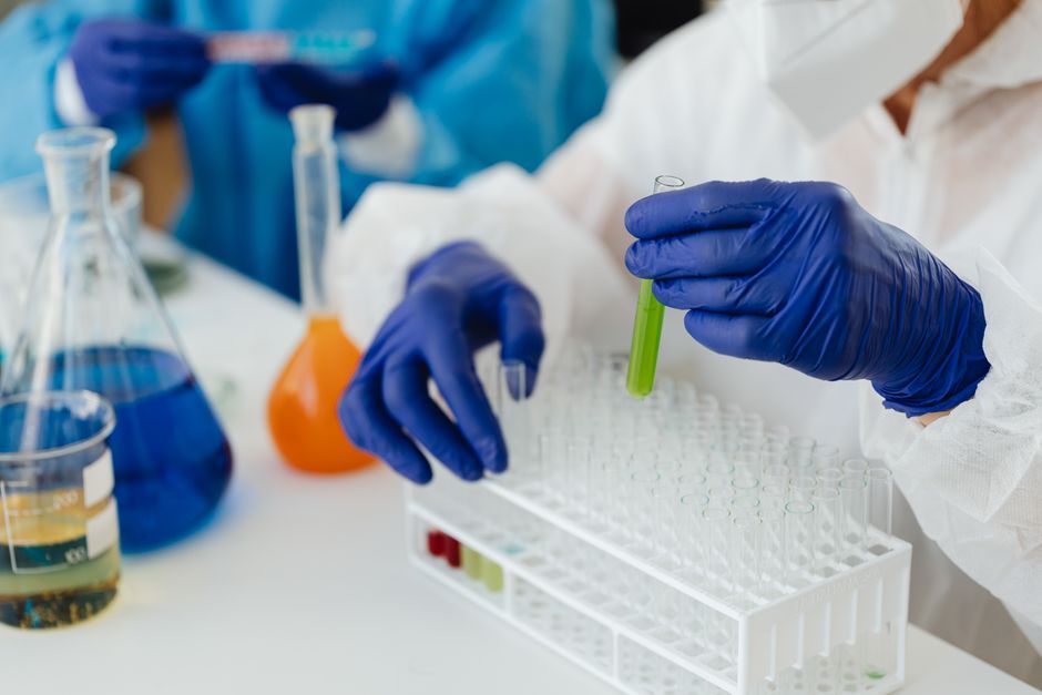 A Study to Investigate the Efficacy and Safety of Frexalimab Versus Tacrolimus in Adults Undergoing Kidney Transplantation