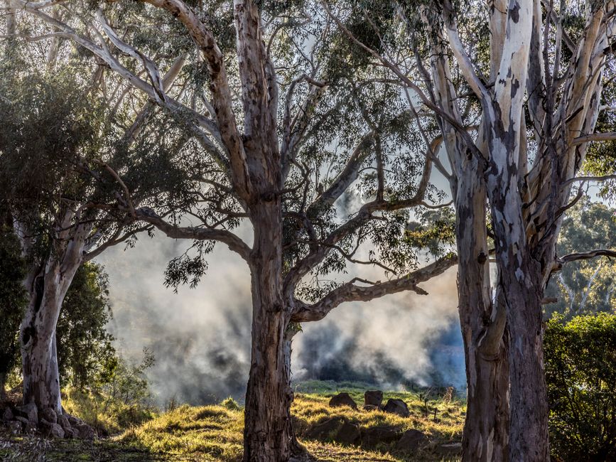 Mineradora australiana compra projeto de terras raras no Sul de Minas por R$ 3,5 bi