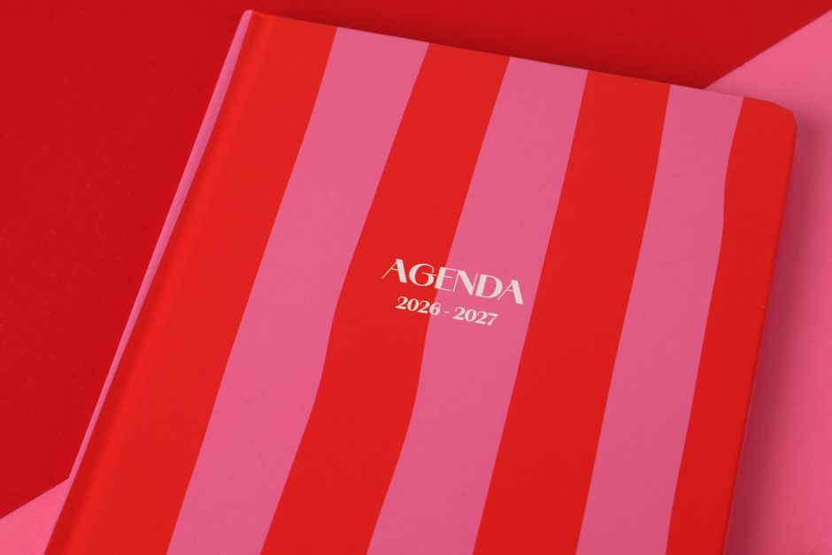 Eleições 2026: veja a ordem de votação, cargos e idades mínimas