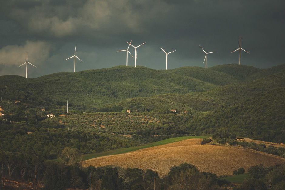 Como a Falconi turbinou sua capacidade de gestão com R$ 100 milhões em tecnologia e IA