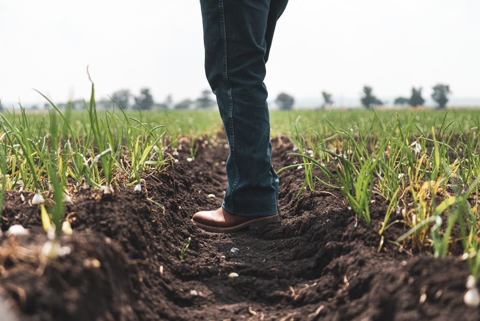 Marketing no agro é destaque no GAFFFF: a nova fronteira de rentabilidade