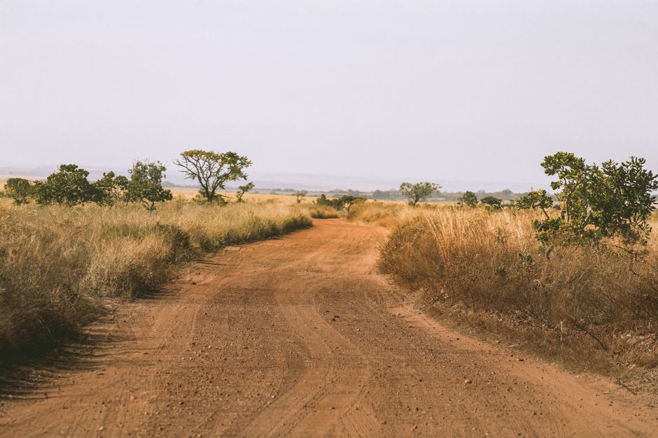 Cerrado perdeu 34% da vegetação nativa em quatro décadas, aponta MapBiomas