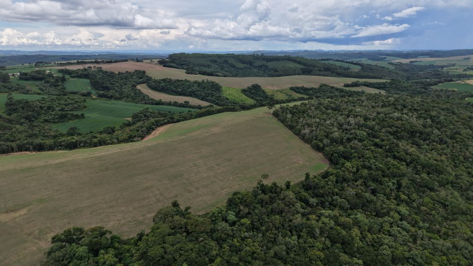 USDA mantém projeções de safras de soja e milho do Brasil