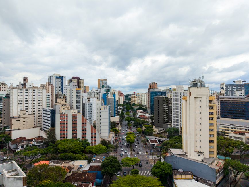 Plantio de soja no Brasil vai a quase 20% da área, em ritmo recorde, diz Pátria