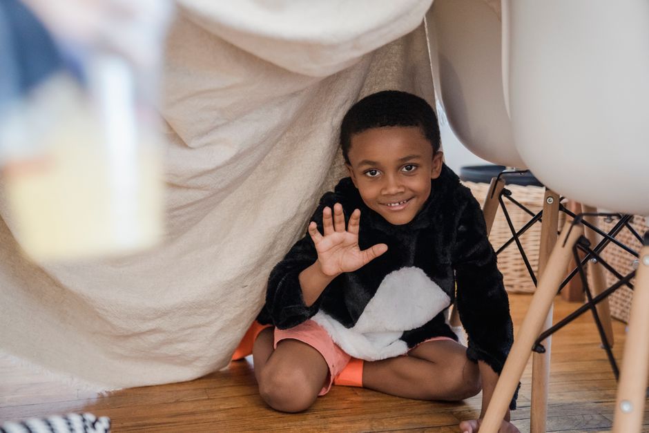Hide and Seek: HIDE Concepts to SEEK explanations for black box models