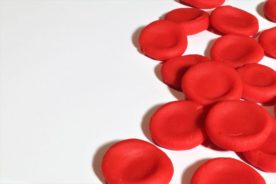 Blood cells from 80-year-old donor become stem cells with molecular age under 20