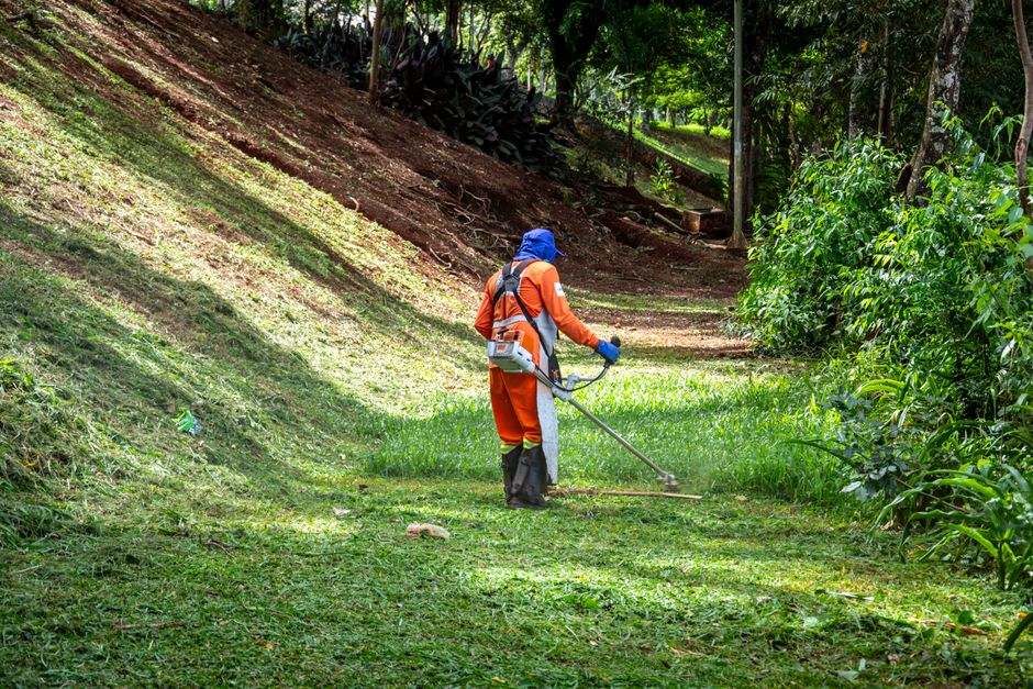 Brasil prevê safra recorde de 367 milhões de toneladas — mesmo com El Niño